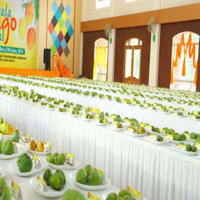 Mango Festival Package Tour